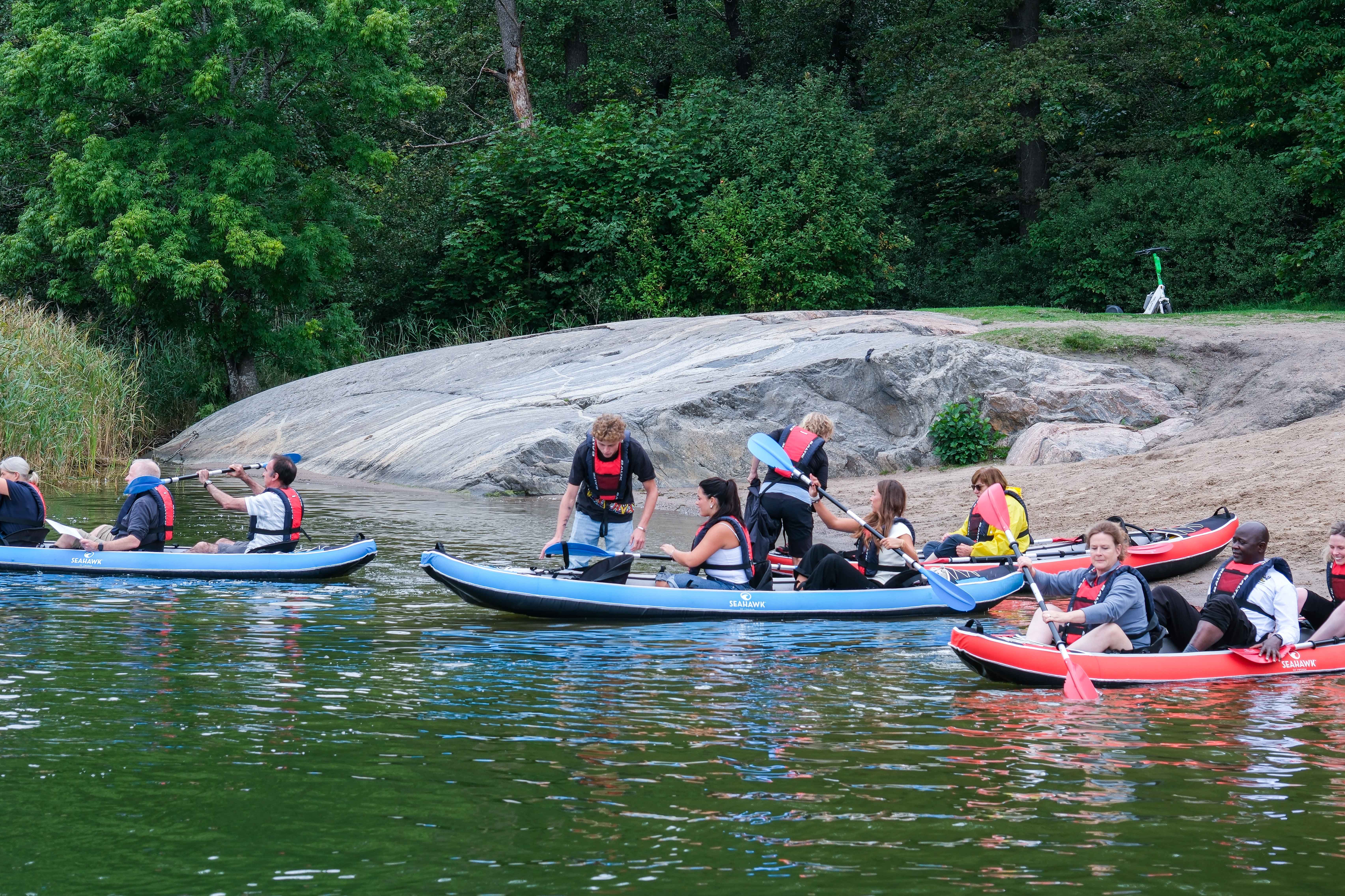 Climate, Environment and Energy