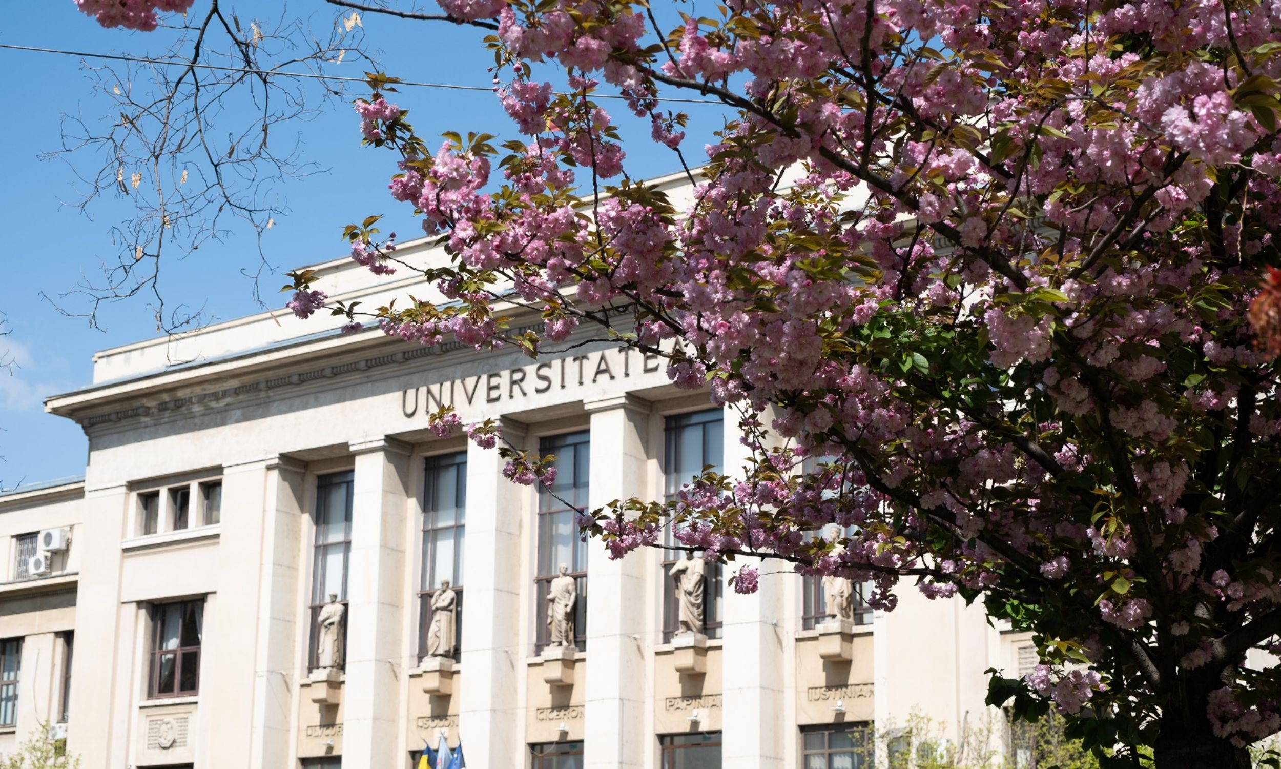 CIVIS–University of Bucharest Coordination Team