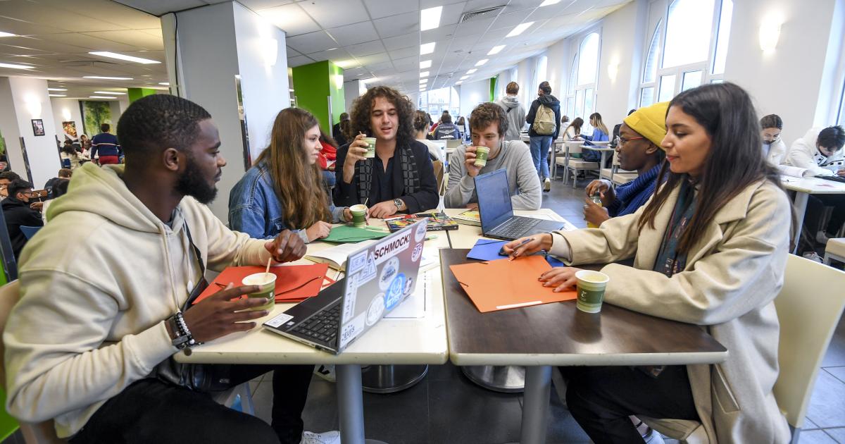 Registrations are open for CIVIS BIPs! Apply by February 25 – Events ...