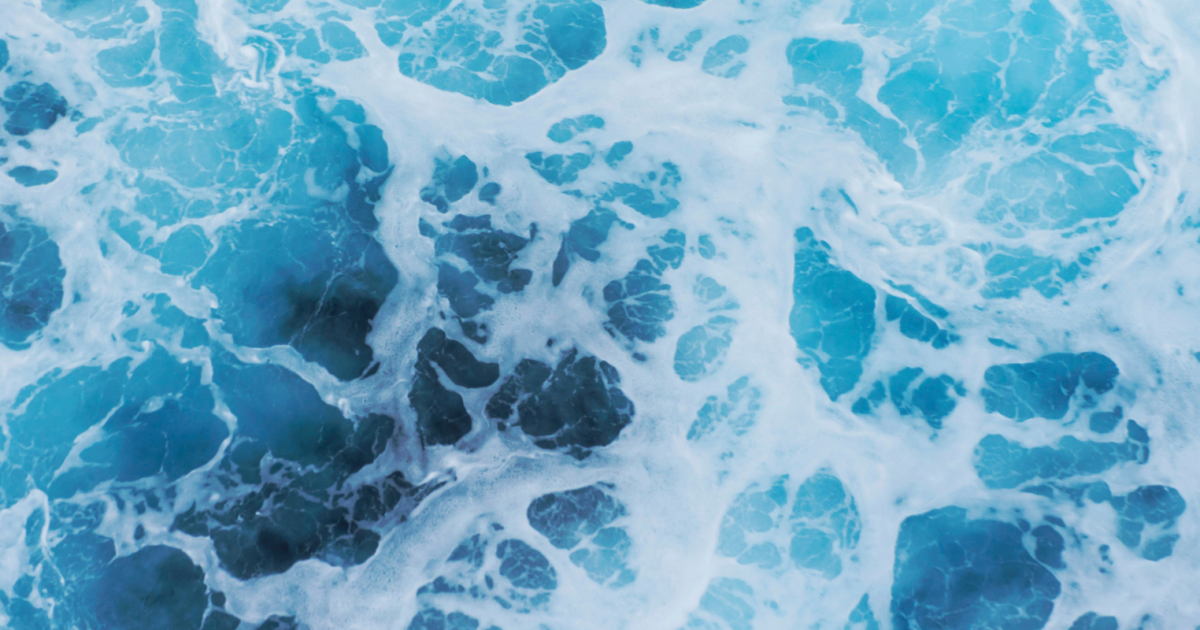 Ocean law and governance News CIVIS A European Civic University