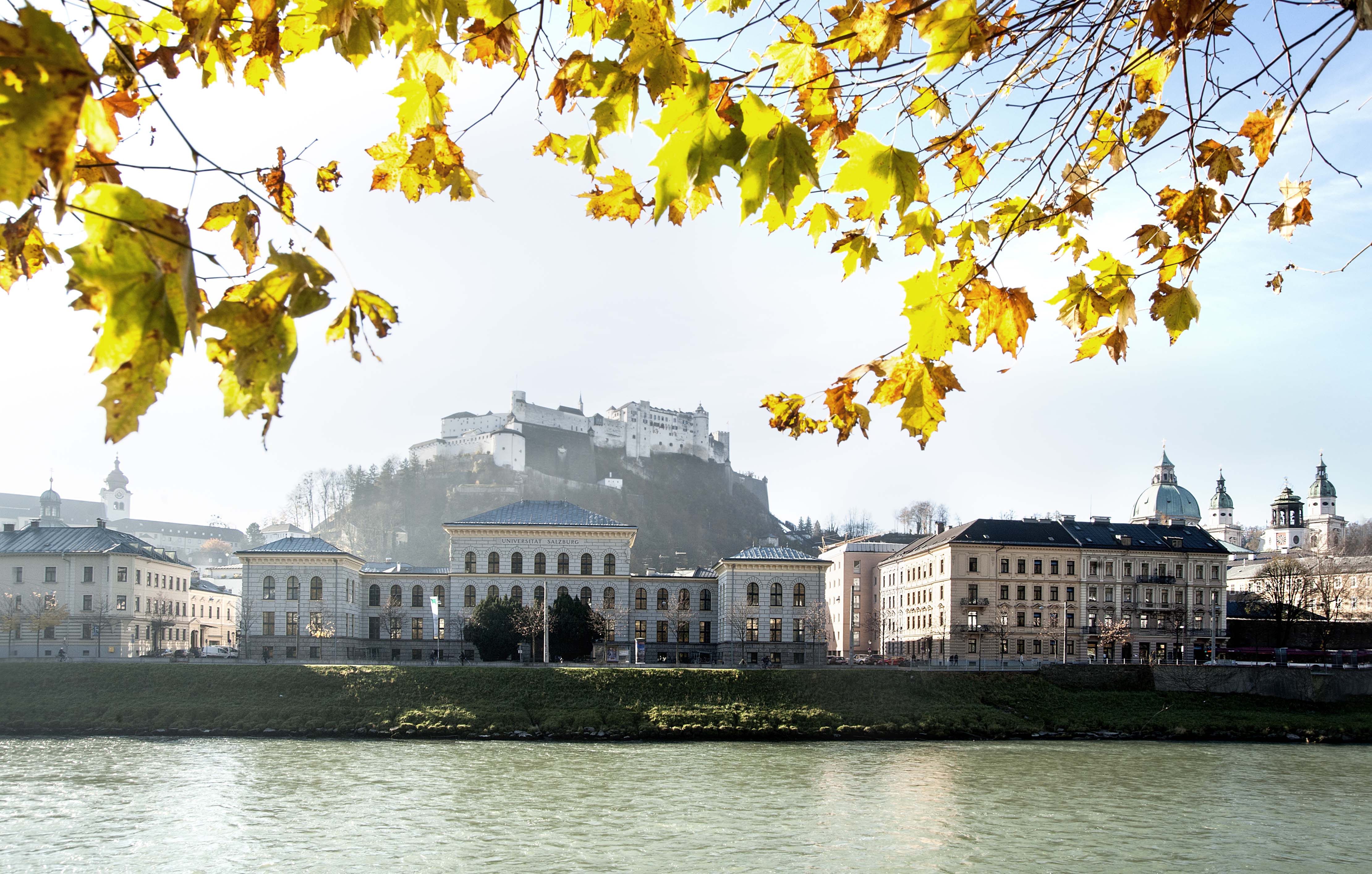 dissertation uni salzburg